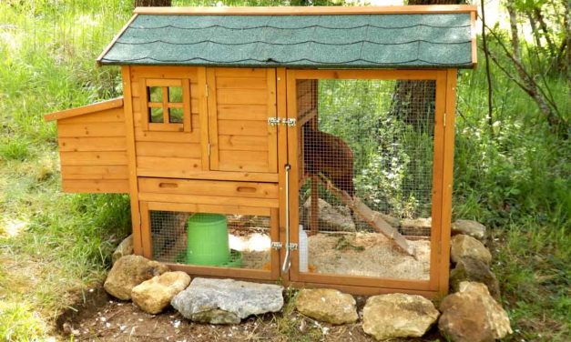 Portable Chicken Coop